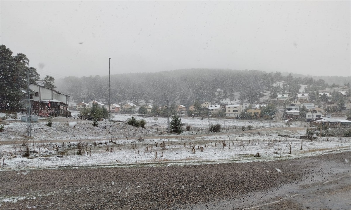 Sivas'ın Koyulhisar ilçesinde, çam ağaçlarıyla kaplı Eğriçimen Yaylası'nda kar yağışı etkili...