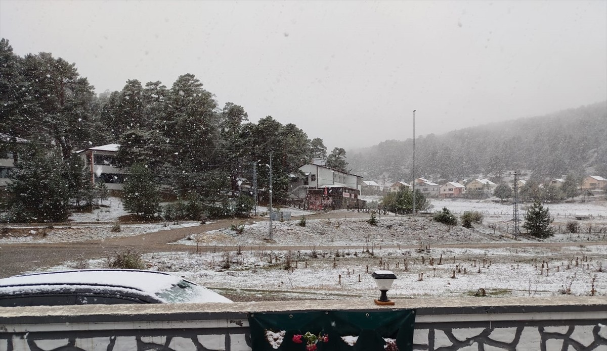 Sivas'ın Koyulhisar ilçesinde, çam ağaçlarıyla kaplı Eğriçimen Yaylası'nda kar yağışı etkili...
