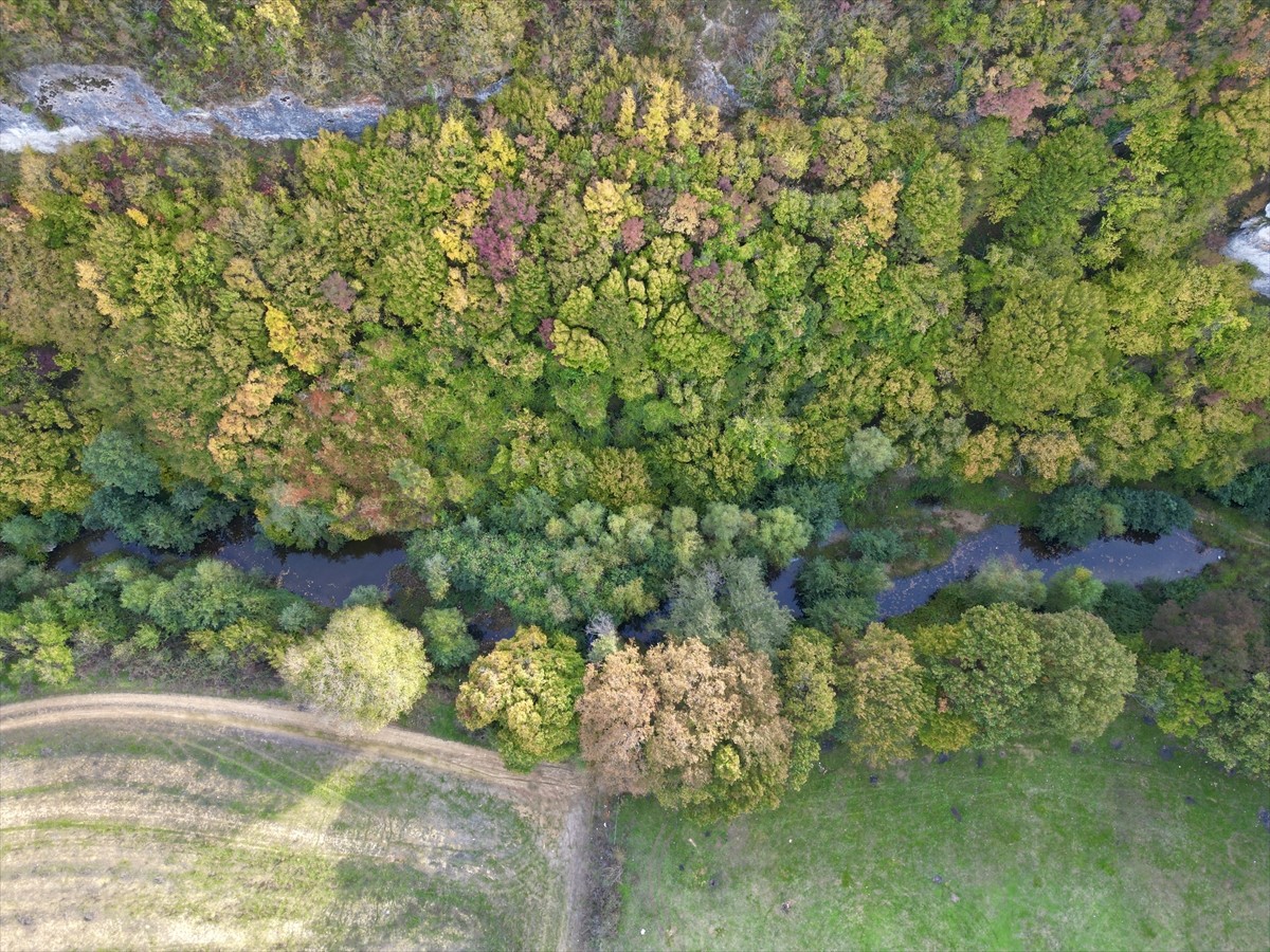 Tekirdağ'ın Saray ilçesinde sonbahar renklerine bürünen ormanlar arasında bulunan Kanara Kanyonu...