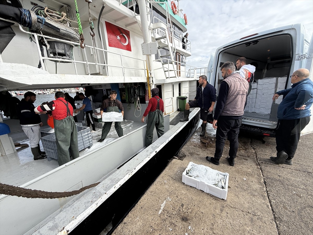 Tekirdağlı balıkçılar, sabah saatlerinde açıldıkları Marmara Denizi'nden bol miktarda istavrit...