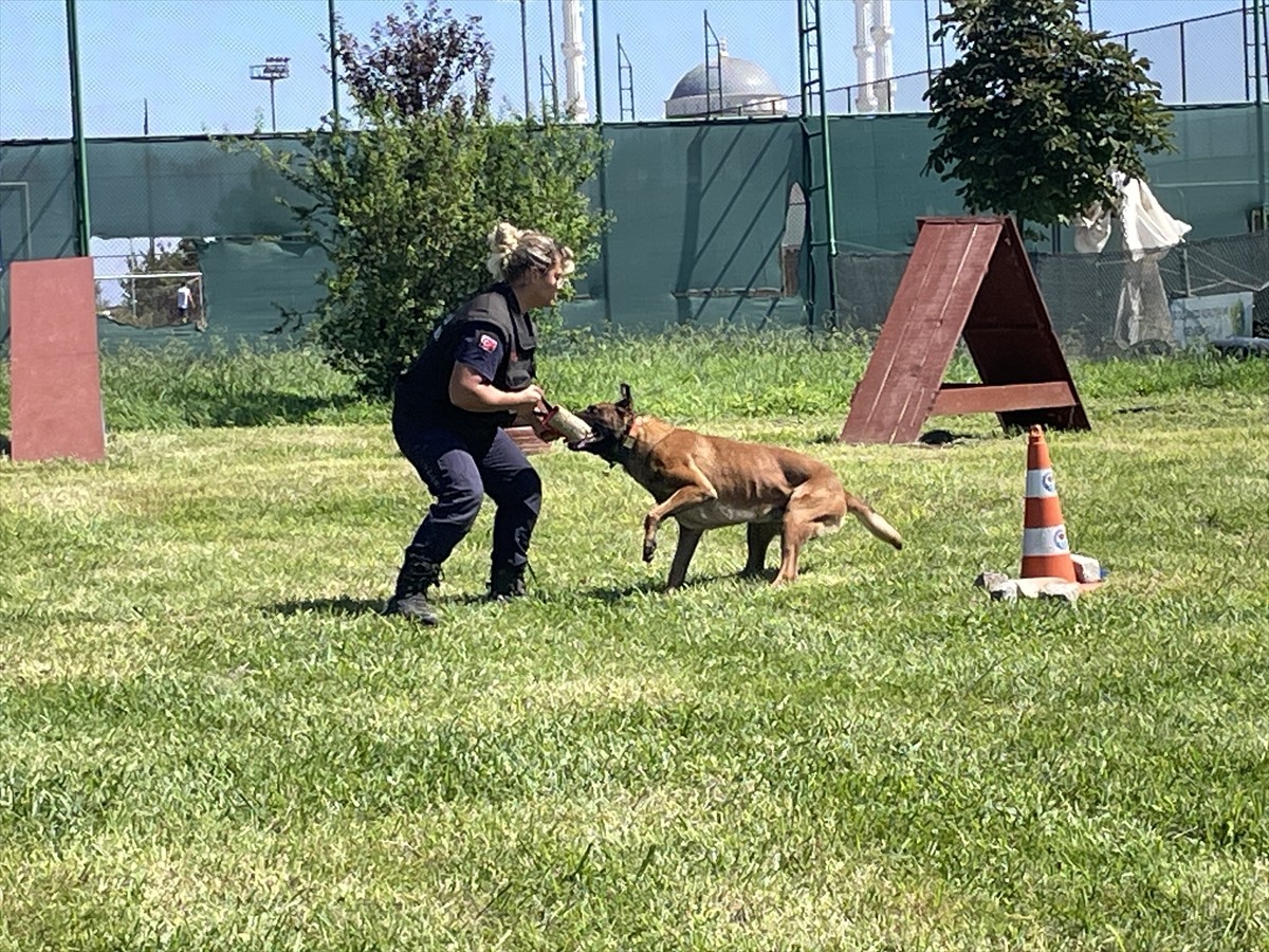 Trabzon Büyükşehir Belediyesi İtfaiye Dairesi Başkanlığında bir süre önce oluşturulan Köpek Eğitim...