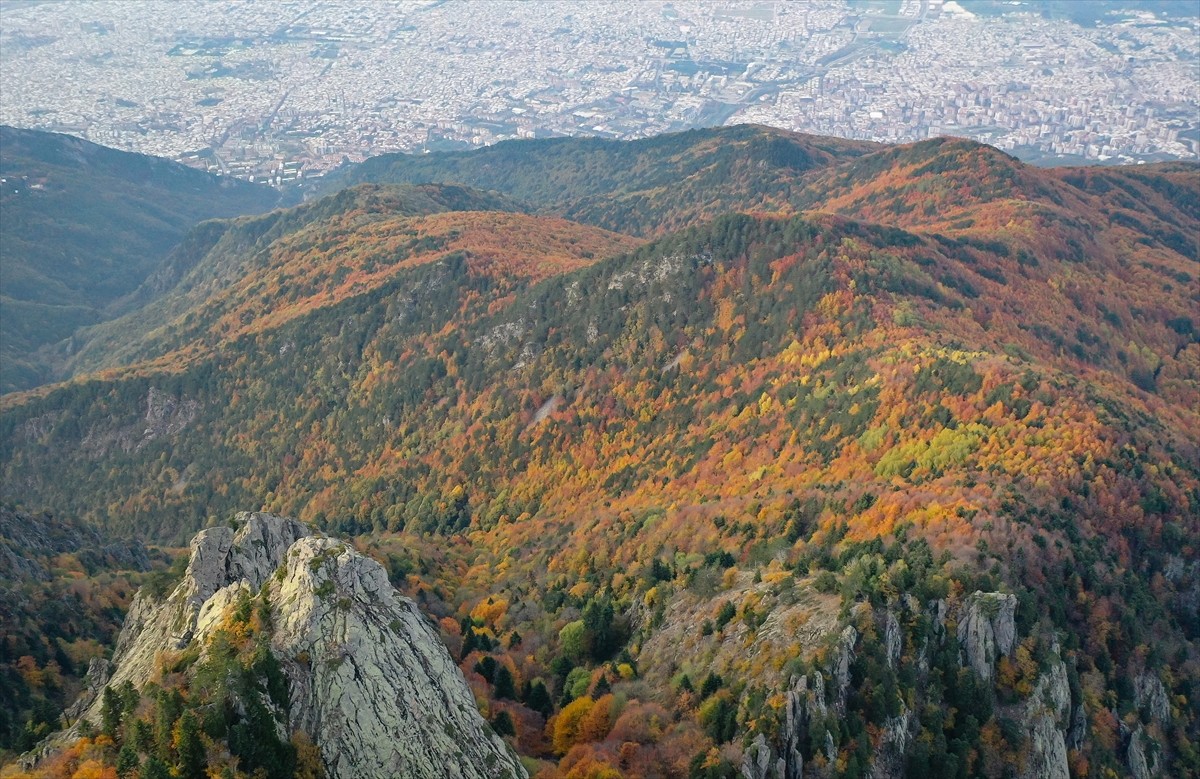 Türkiye'nin kayak ve kış turizminin önemli merkezlerinden Uludağ'ın ormanlarında, yeşil, sarı...