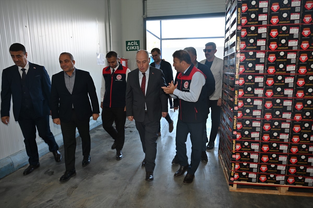 Türkiye'nin nar üretiminde önde gelen şehirleri arasında yer alan Denizli'de, ihracatlık narın...