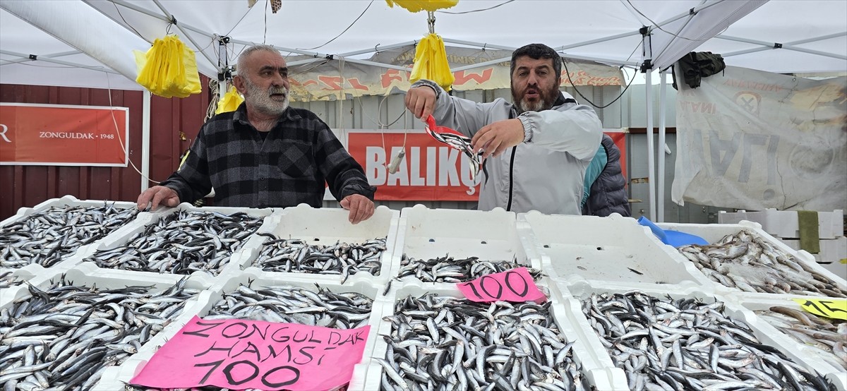 Zonguldak'ta balık tezgahlarında hamsi bolluğu yaşanıyor. Balıkçı tezgahlarını süsleyen hamsinin...