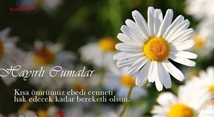 7 Kasım Cuma Mesajları (2025) Manevi iklimin en güçlü bağı 'Hayırlı Cumalar' için en yeni dualı mesajlar