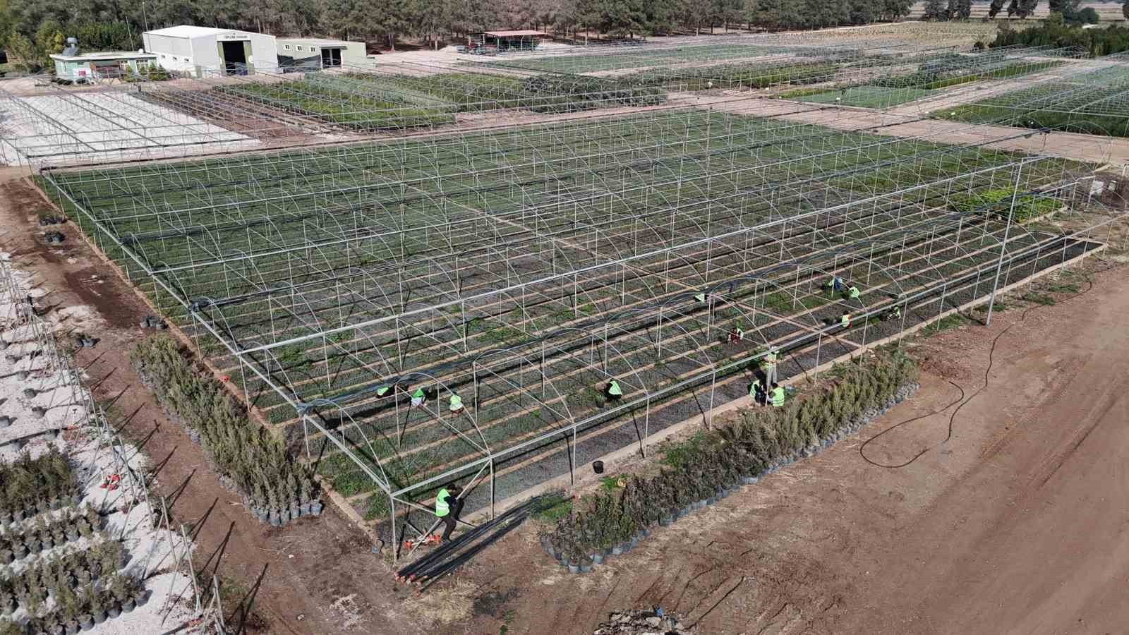 ADANA ORMAN BÖLGE MÜDÜRLÜĞÜNE BAĞLI CEYHAN ORMAN FİDANLIK ŞEFLİĞİ İŞLETME ŞEFİ SEMA ÖZCAN...