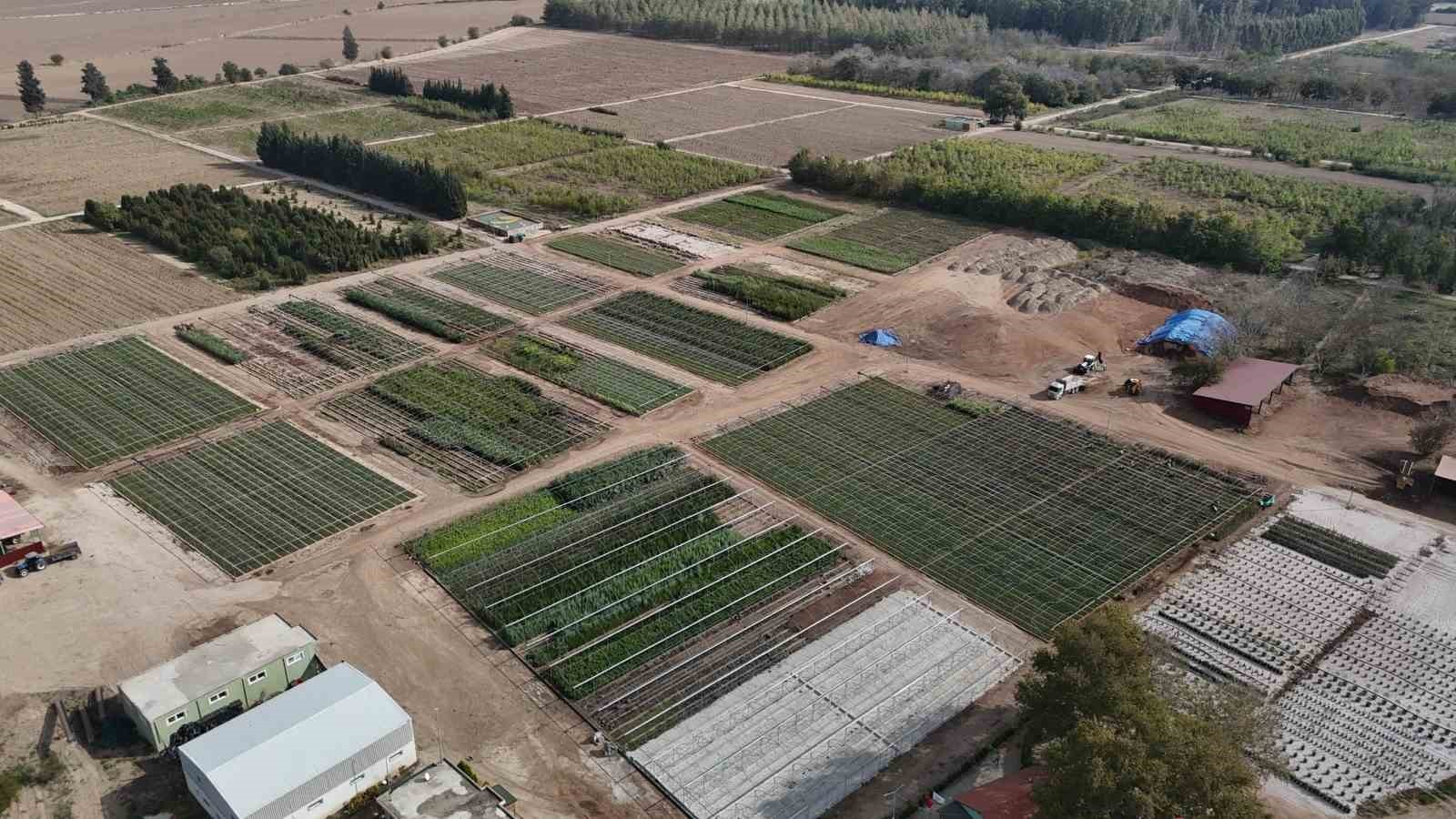 ADANA ORMAN BÖLGE MÜDÜRLÜĞÜNE BAĞLI CEYHAN ORMAN FİDANLIK ŞEFLİĞİ İŞLETME ŞEFİ SEMA ÖZCAN...