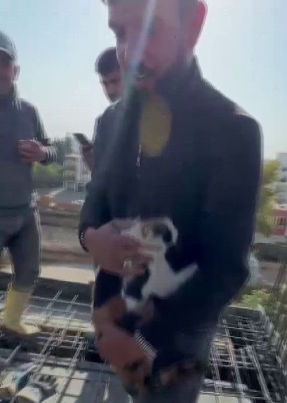 ADIYAMAN’DA, BİR İNŞAATIN KİRİŞ DEMİRLERİ ARASINA GİREN VE BURADA SIKIŞARAK ÇIKAMAYAN KEDİ, BETON...