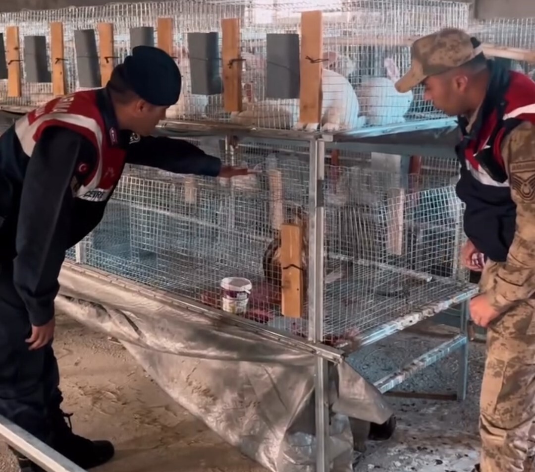 AN'IN TUŞBA İLÇESİNDE BİR VATANDAŞIN EVİNDE İZİNSİZ KIZIL ŞAHİN BESLEDİĞİ İHBARI ÜZERİNE JANDARMA...