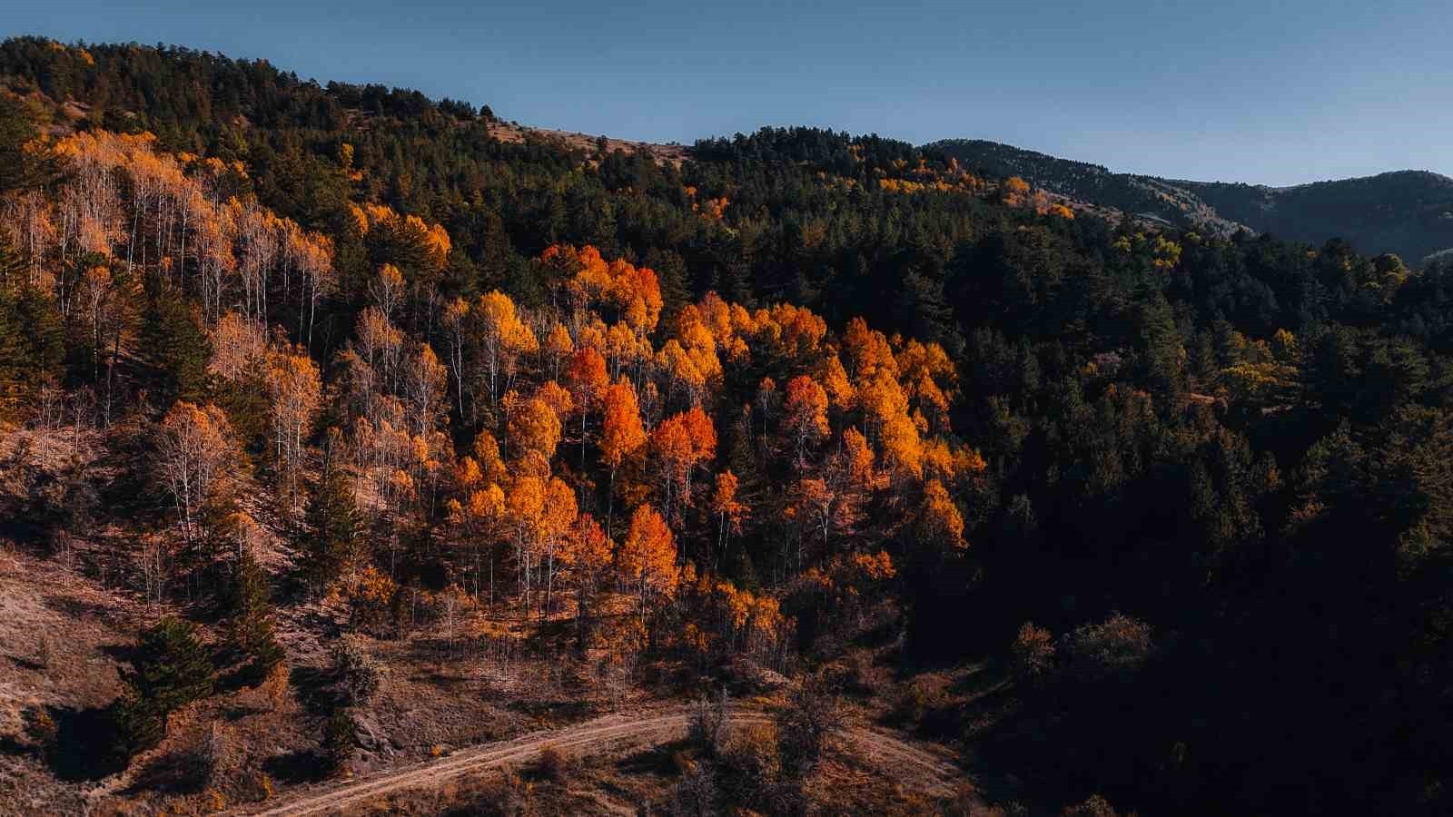 ANKARA’NIN ÇUBUK İLÇESİNDE BULUNAN KARAGÖL TABİAT PARKI’NDAKİ SONBAHAR GÖRÜNTÜLERİ, GÖRENLERİ MEST...
