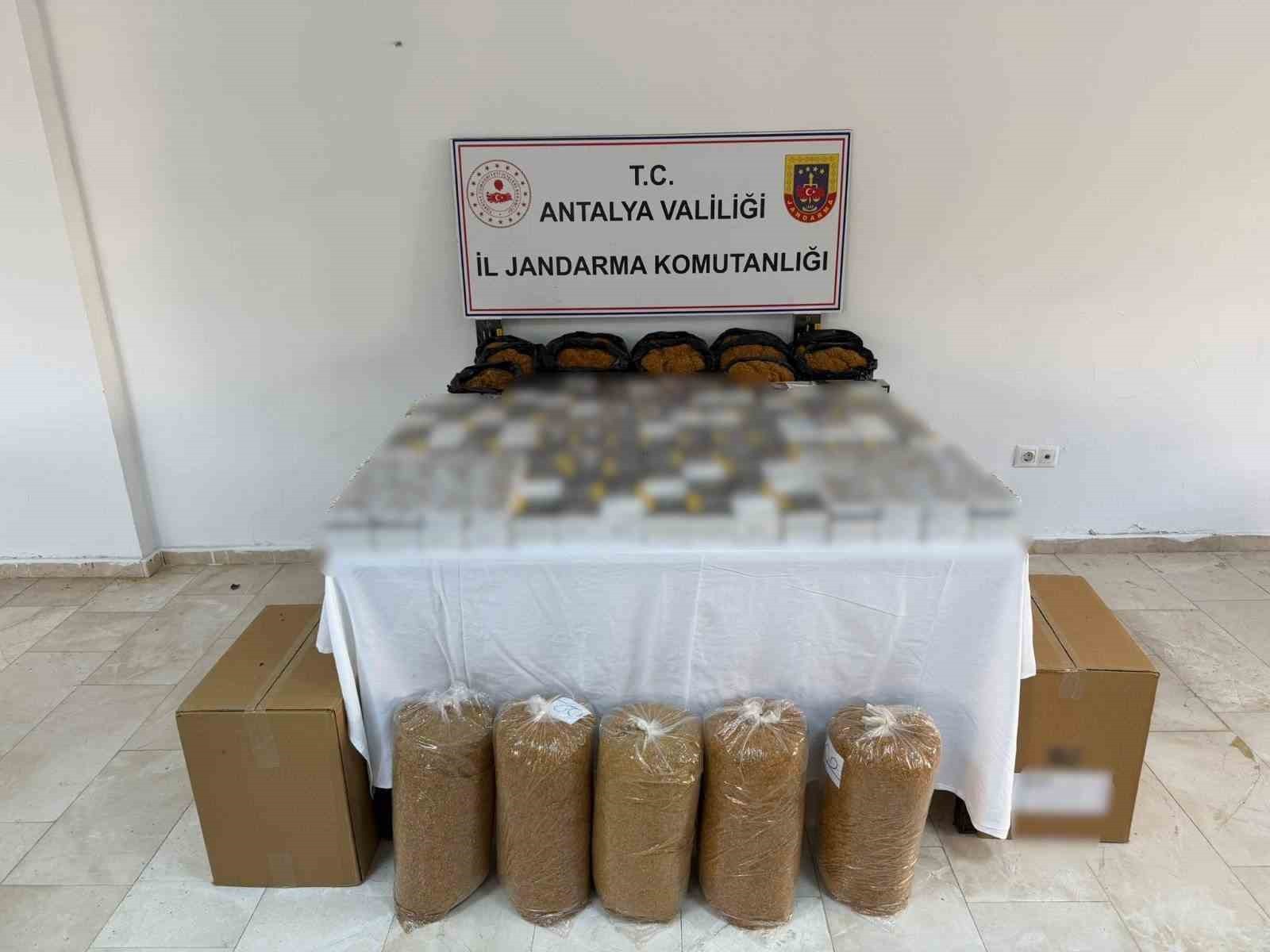 ANTALYA'DA JANDARMANIN YAPTIĞI OPERASYONDA ÇOK MİKTARDA KIYILMIŞ TÜTÜN VE MAKARON ELE...