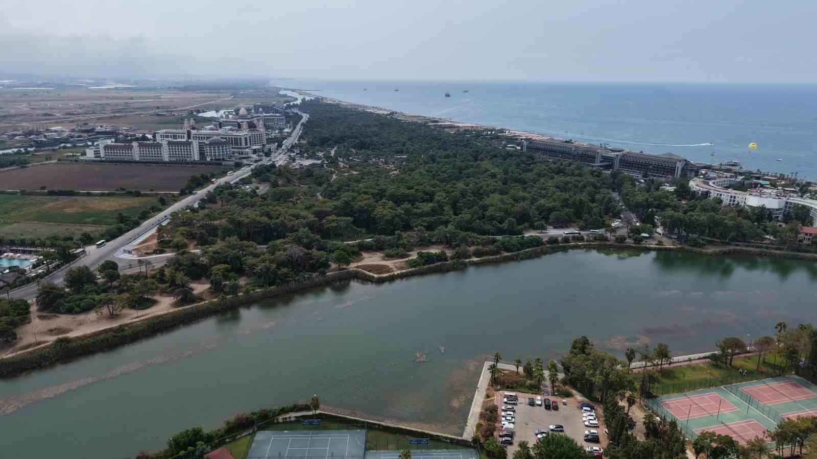 ANTALYA’NIN MANAVGAT İLÇESİNDE BULUNAN VE EKOLOJİK OLARAK NESLİ TÜKENMEKTE OLAN ÇAM TÜRLERİNİN...