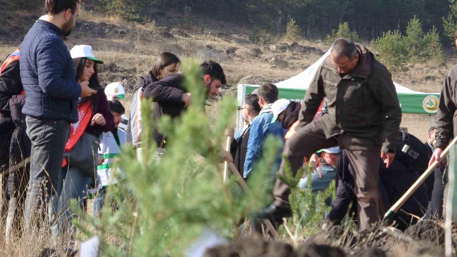 ARDAHAN'DA MİLLİ AĞAÇLANDIRMA GÜNÜ'NDE FİDANLAR TOPRAKLA BULUŞTU. (OLGUN...