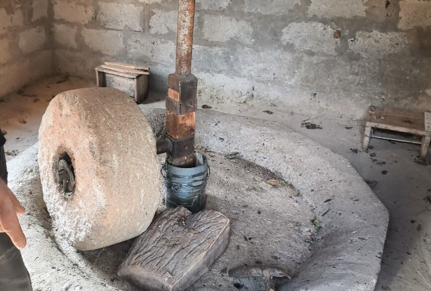 ARDANUÇ’UN TORBALI KÖYÜNDEKİ 80 YILLIK SU DEĞİRMENİ, KÖYLÜ YÜCEL DEMİR’İN BAKIMINI ÜSTLENMESİ...