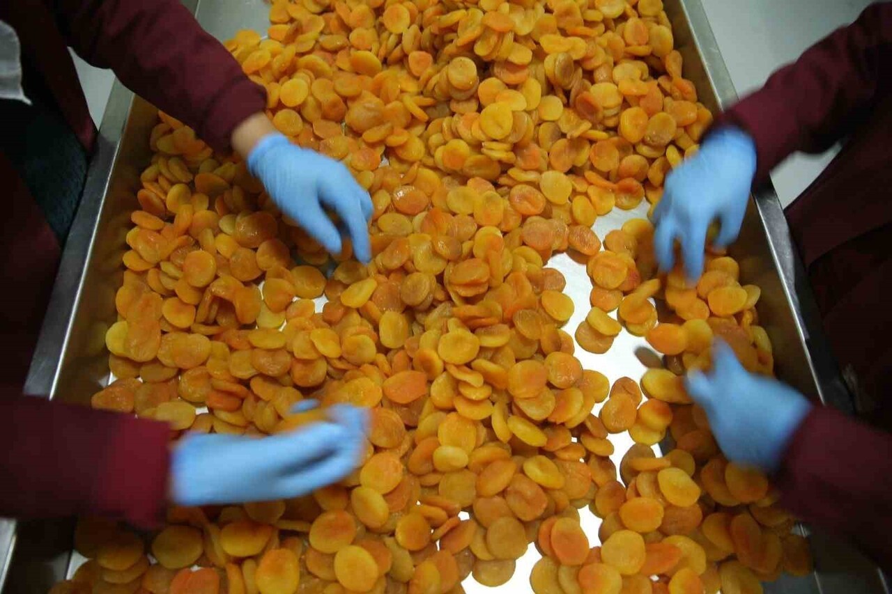 AVRUPA BİRLİĞİ'NDEN (AB) COĞRAFİ İŞARET TESCİLİ ALAN ÜRÜN SAYISI 42’YE ULAŞTI. LİSTENİN ÜÇÜNCÜ...