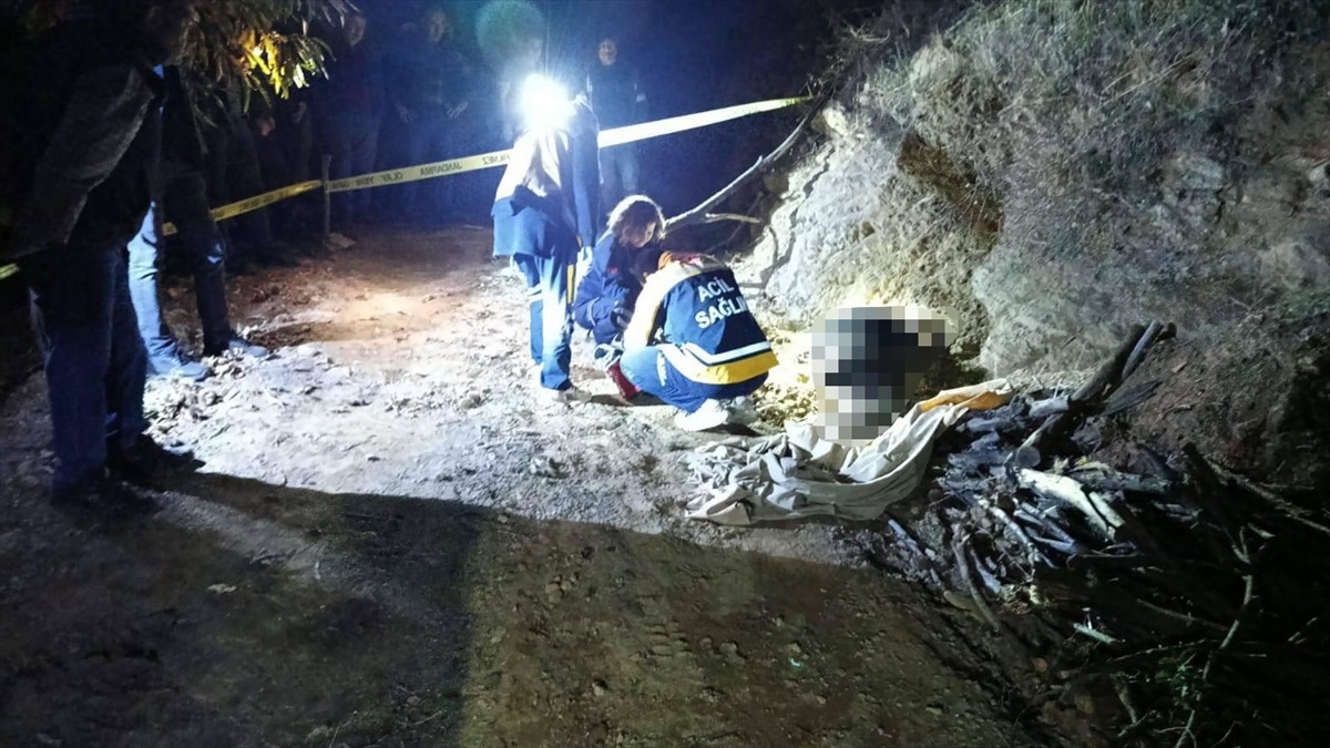 Aydın'ın Nazilli ilçesinde, odun toplamak için kestane bahçesine giden kişi, traktörünün yanında...