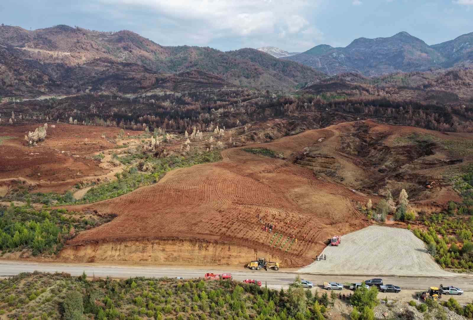 AYDIN’DA 17 LOKASYONDA FİDAN DİKİLECEK