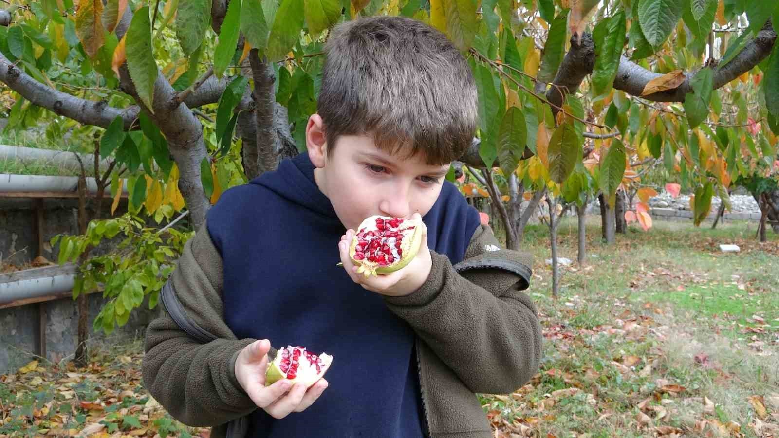 BAHÇEDE MEYVE YİYEN ÇOCUKLAR