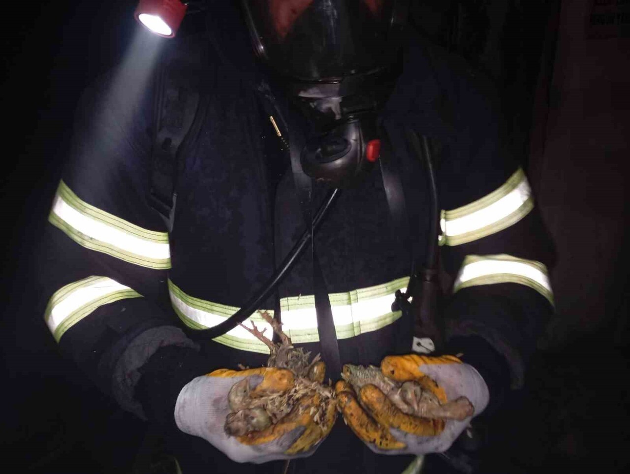 BALIKESİR'İN SAVAŞTEPE İLÇESİNDE BİR TAVUK ÇİFTLİĞİNDE ÇIKAN YANGINDA 5 BİN CİVARINDA PİLİÇ TELEF...