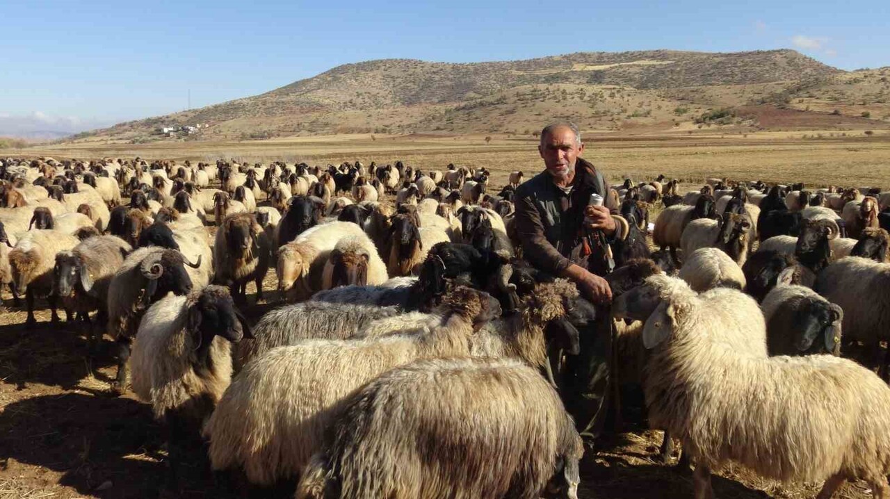BATMAN'IN GERCÜŞ İLÇESİNDE HAVALARIN SOĞUMASIYLA BERABER VAN, BİTLİS VE ERZURUM GİBİ KENTLERDEN...