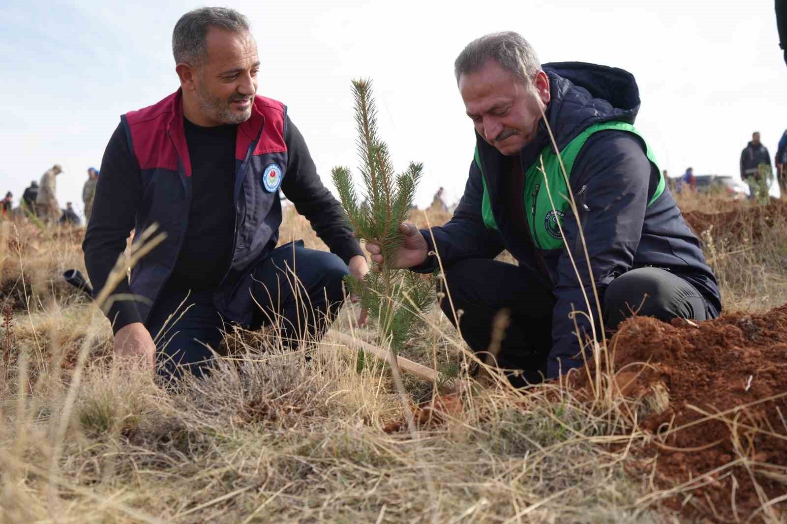 BAYBURT’TA 97 BİN 620 FİDAN TOPRAKLA BULUŞTURULDU