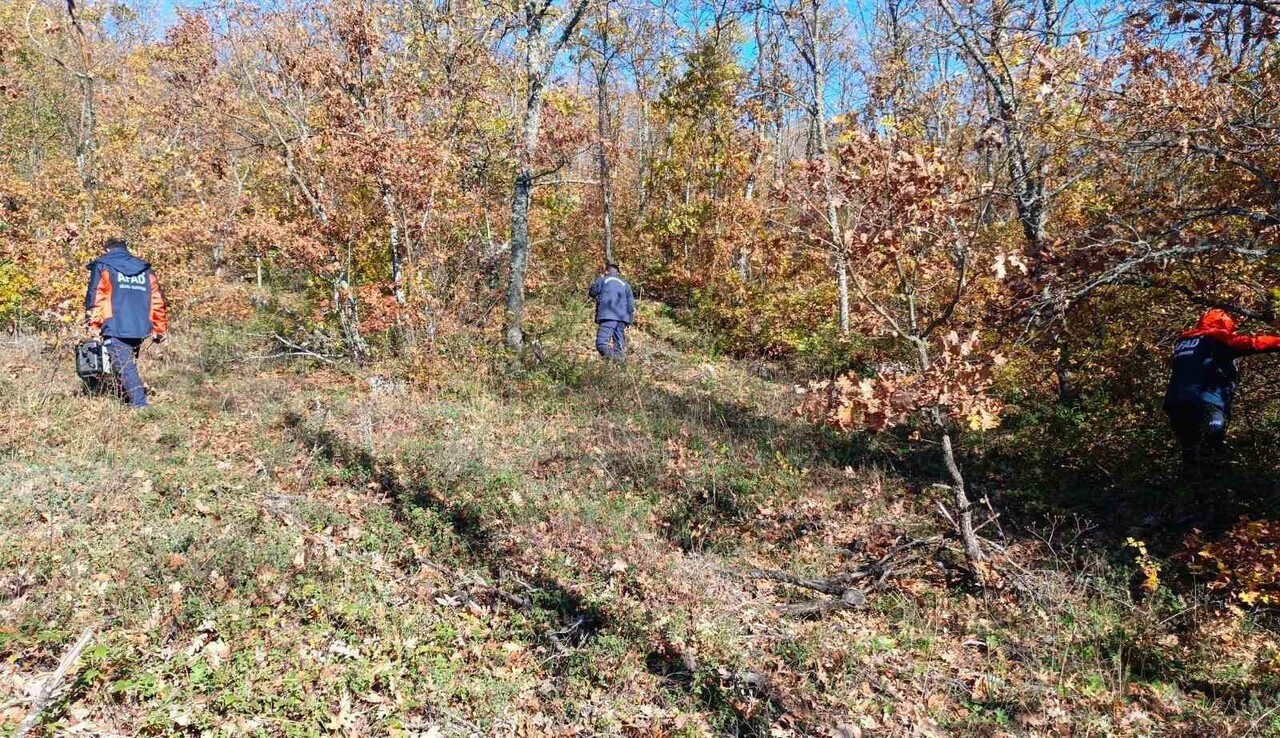 BİLECİK'E DÜN ÖĞLEDEN SONRA MANTAR TOPLAMAK İÇİN ORMANLIK ALANA GİREN VE BİR DAHA KENDİSİNDEN...