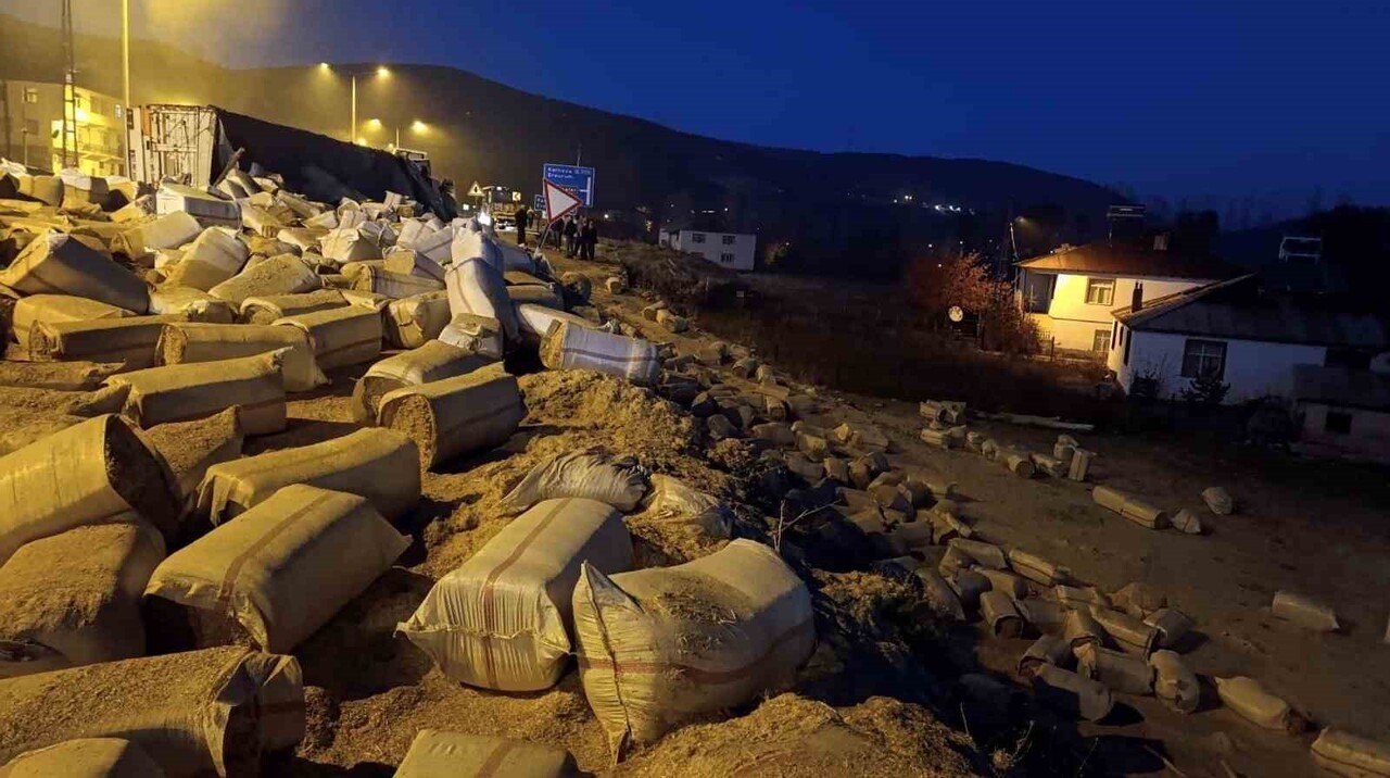 BİNGÖL’DE SAMAN YÜKLÜ KAMYON DEVRİLDİ