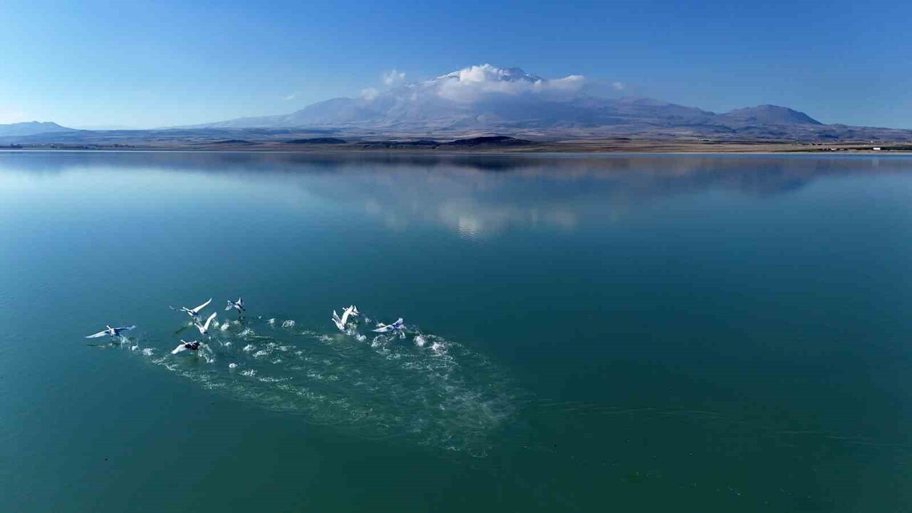 BİTLİS’İN ADİLCEVAZ İLÇESİNDE BULUNAN VE “KUŞ CENNETİ” OLARAK BİLİNEN ARİN GÖLÜ, SONBAHAR-KIŞ GÖÇ...