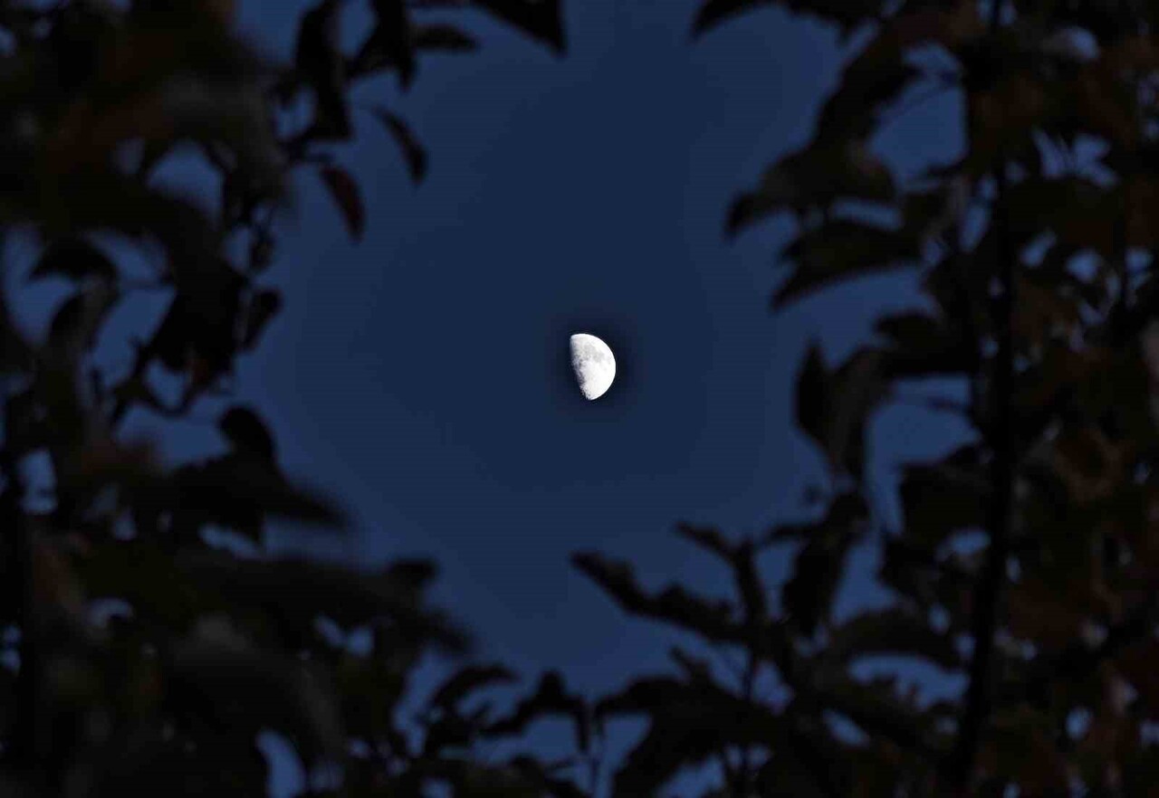 BİTLİS’İN AHLAT İLÇESİNDE AKŞAM GÜN BATIMININ AĞAÇ DALLARININ ARASINDAN BELİREN YARIM AYIN...