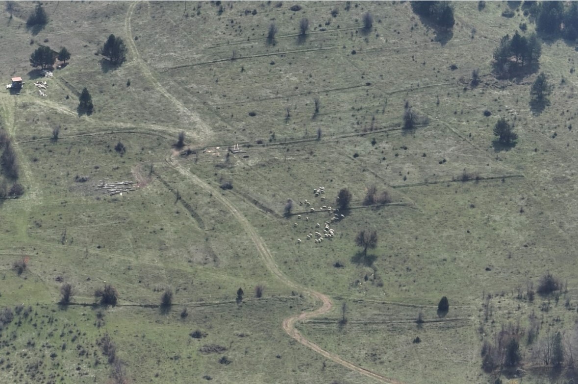 BOLU’NUN MENGEN İLÇESİNE BAĞLI KAVACIK KÖYÜNDE KAYBOLAN 30 KÜÇÜKBAŞ HAYVAN, MENGEN ORMAN İŞLETME...