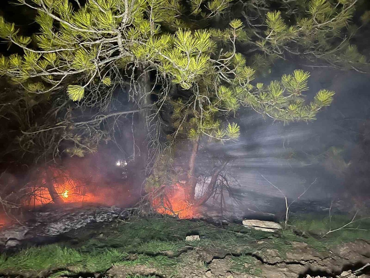 BOLU’NUN MUDURNU İLÇESİNDE ORMANLIK ALANDA ÇIKAN YANGIN, KÖYLÜLERİN VE ORMAN EKİPLERİNİN...