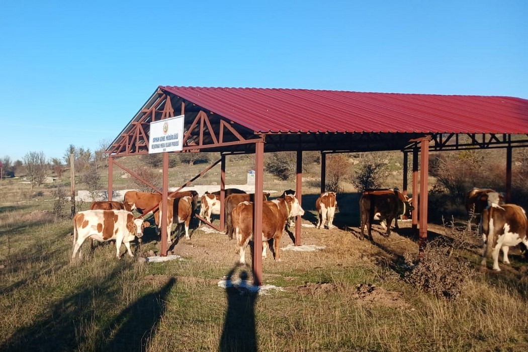 BOLU ORMAN BÖLGE MÜDÜRLÜĞÜ MİKRO KREDİ DESTEĞİ KAPSAMINDA ORMAN KÖYLERİNDE İKAMET EDEN 44 AİLEYE...