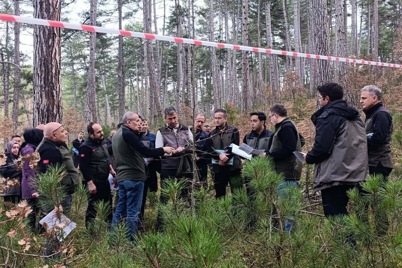 BOLU ORMAN BÖLGE MÜDÜRLÜĞÜ, ORMANLARIN GENETİK KALİTESİNİ KORUMAK VE GELECEĞE SAĞLIKLI ORMANLAR...