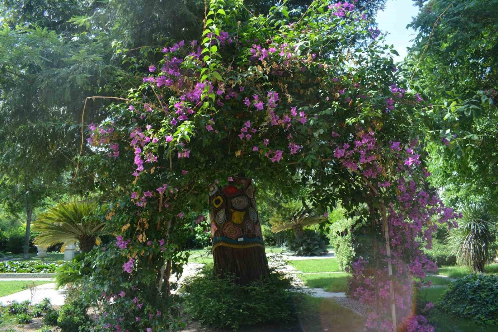 BOTANİK BAHÇESİ, BİR YANDAN HER YAŞTAN BİTKİ SEVERLERİ AĞIRLARKEN BİR YANDAN DA TÜRKİYE’NİN DÖRT...