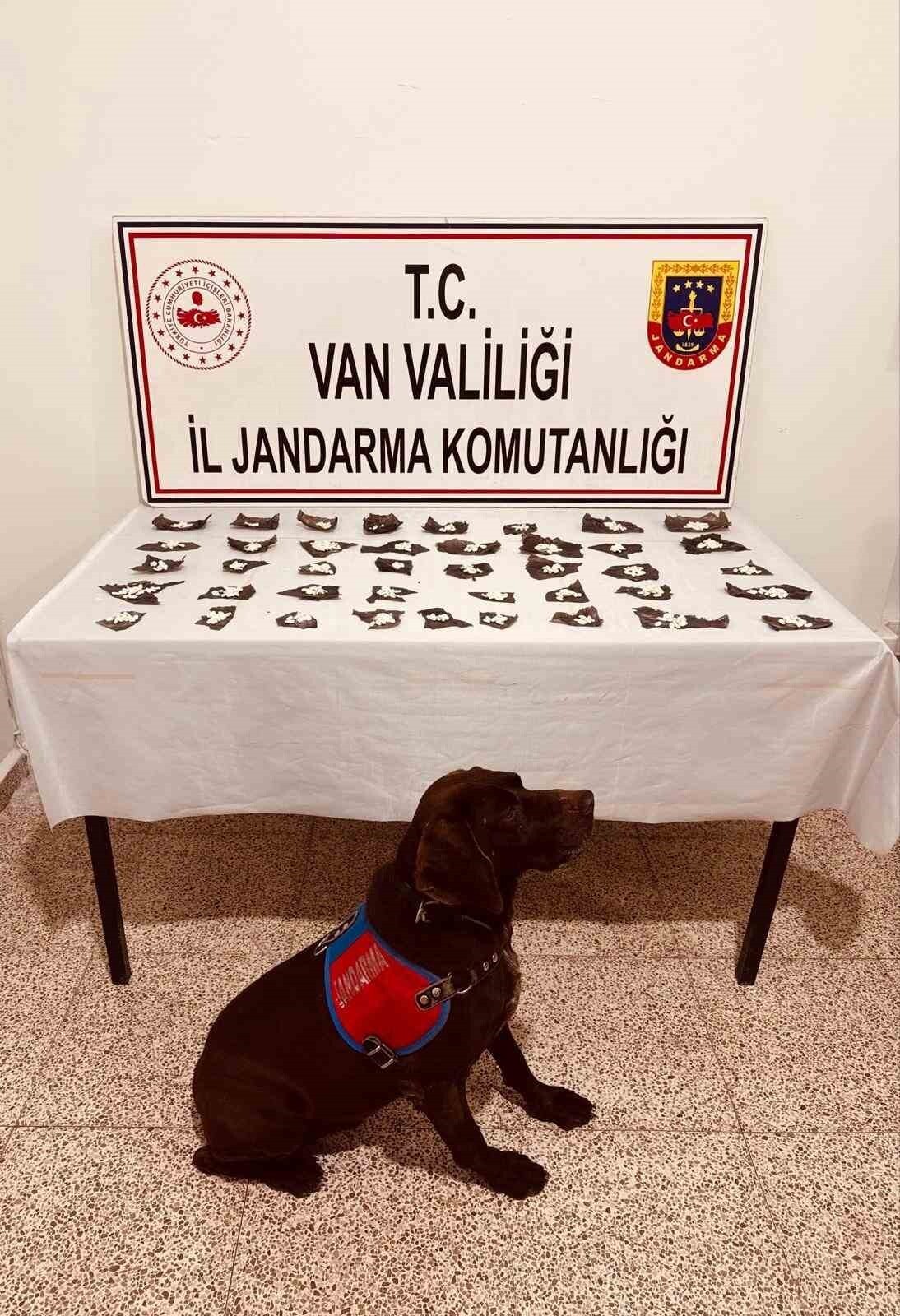 ÇALIŞMALARDA, 460 ADET KAPSÜLÜN İÇİNE YERLEŞTİRİLMİŞ 171 GRAM BONZAİ ELE GEÇİRİLDİ.