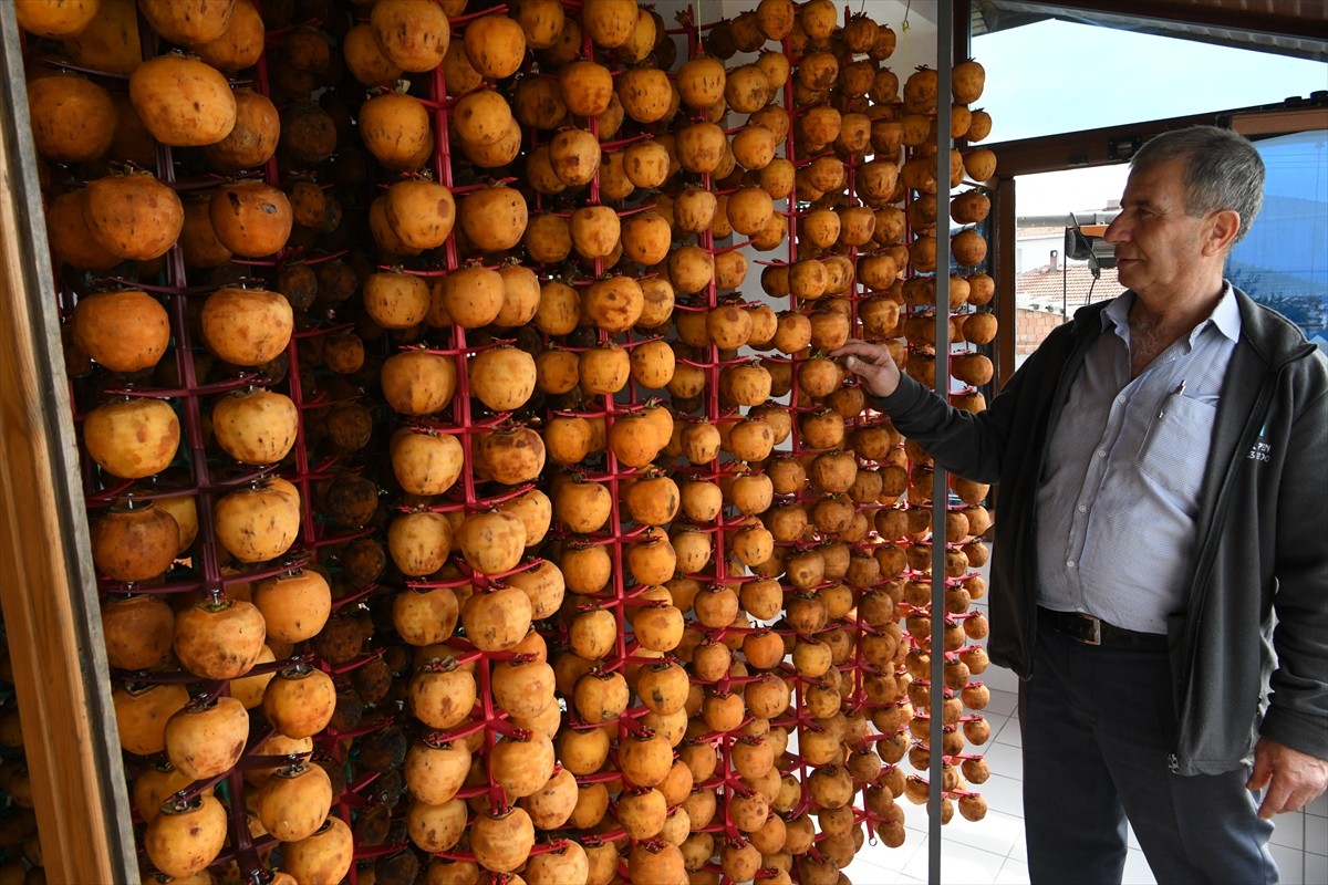 Çanakkale'nin Lapseki ilçesinde üretici Sabri Özkan, bahçesinde yetiştirdiği Trabzon hurmalarını...