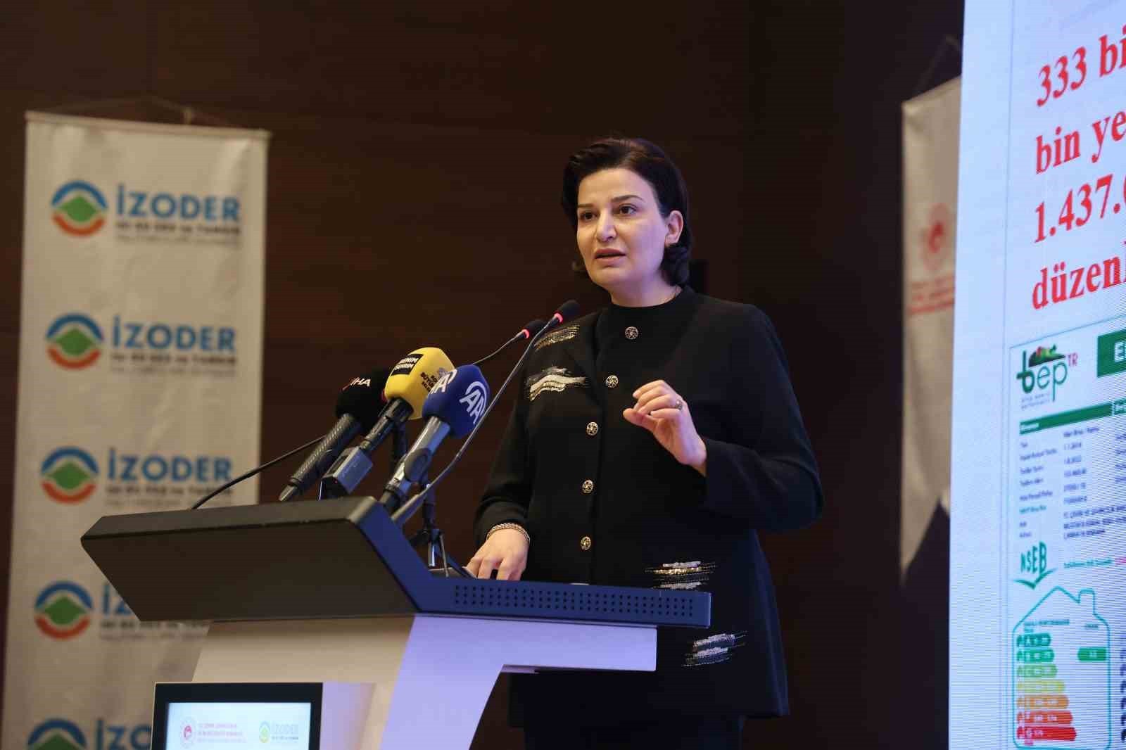 ÇEVRE, ŞEHİRCİLİK VE İKLİM DEĞİŞİKLİĞİ BAKANLIĞI MESLEKİ HİZMETLER GENEL MÜDÜRÜ BANU ASLAN, ENERJİ...