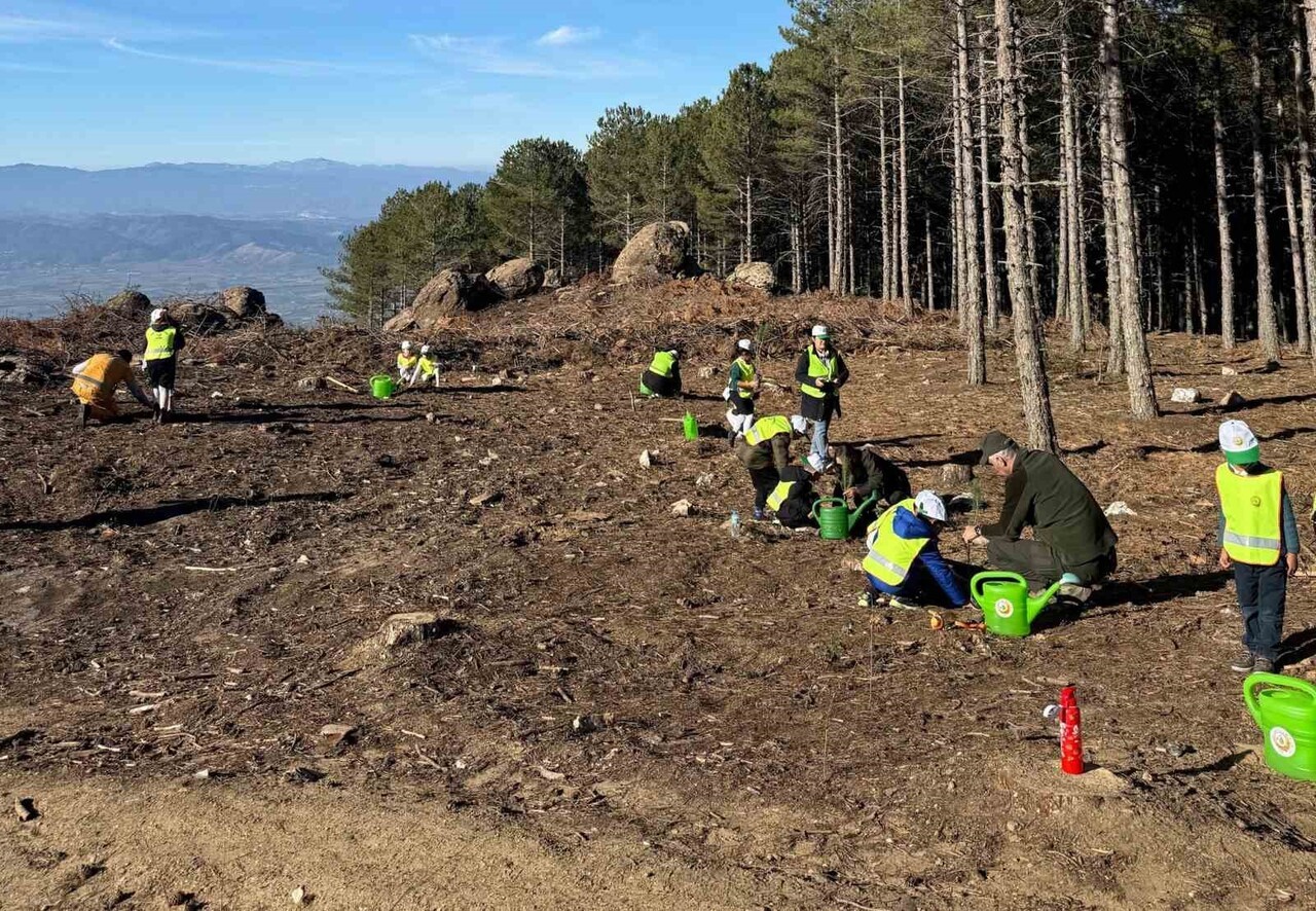 ÇİNELİ ÖĞRENCİLERE ORMAN FAALİYETLERİ ANLATILDI