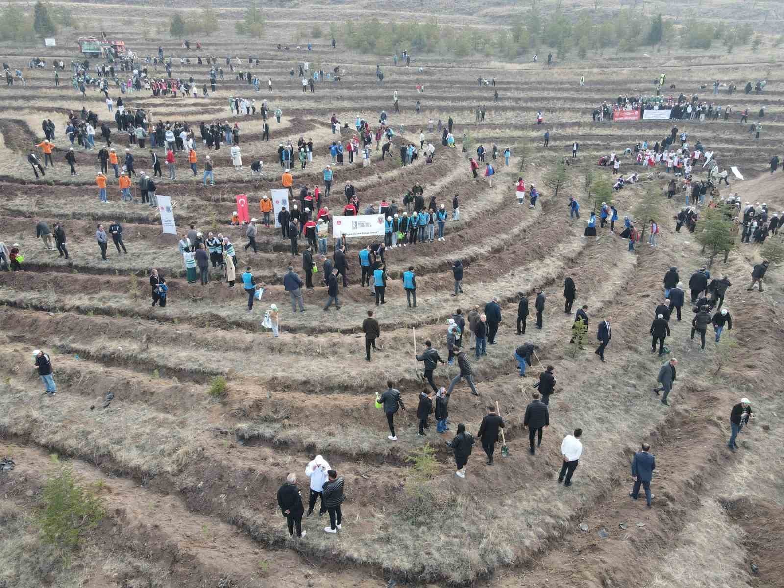 ÇORUM'DA, 11 KASIM MİLLİ AĞAÇLANDIRMA GÜNÜ ETKİNLİĞİ KAPSAMINDA BİNLERCE FİDAN TOPRAKLA...