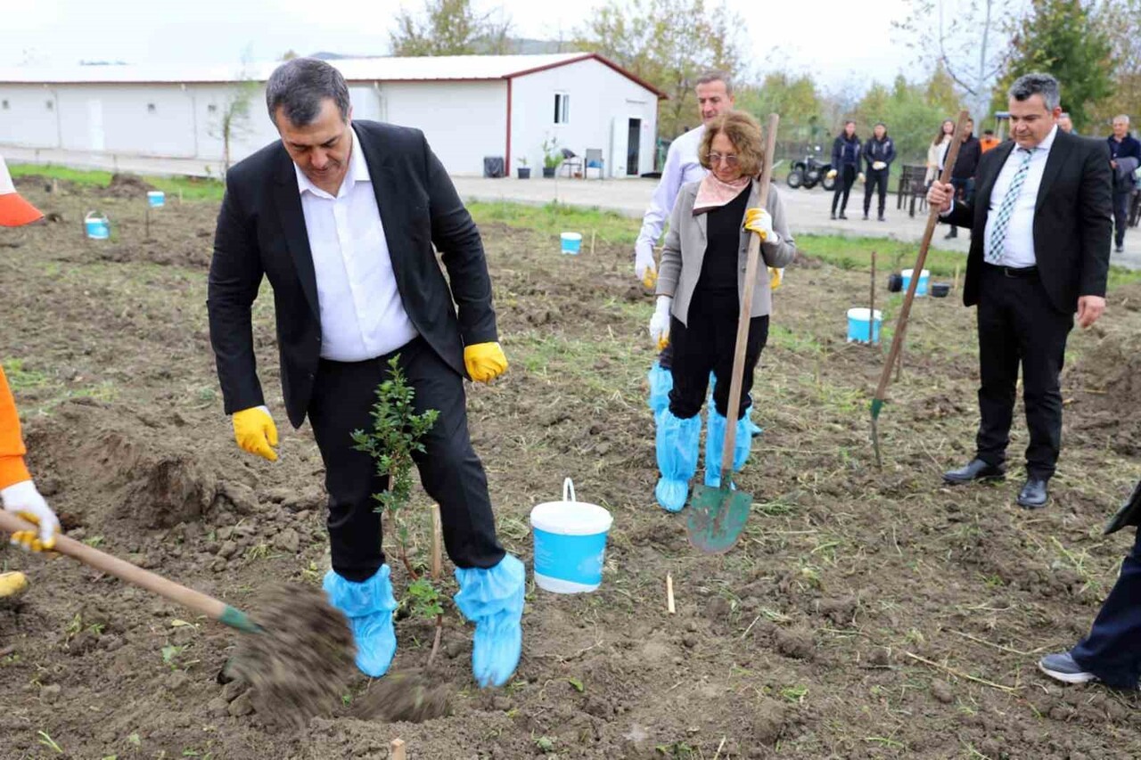 DALAMAN AÇIK CEZA İNFAZ KURUMUNDA 10 DEKAR ALANA SAKIZ AĞACI FİDANI DİKİLDİ