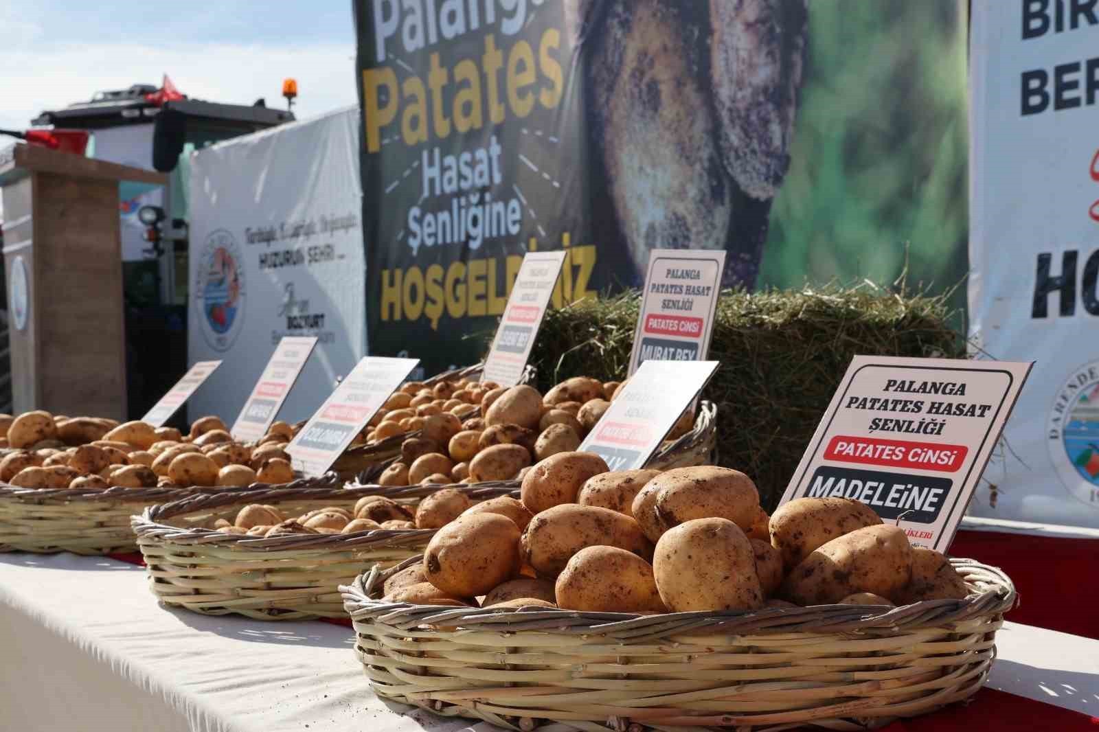 DARENDE’DE YERLİ PATATES TOHUMU ŞENLİĞİ DÜZENLENDİ