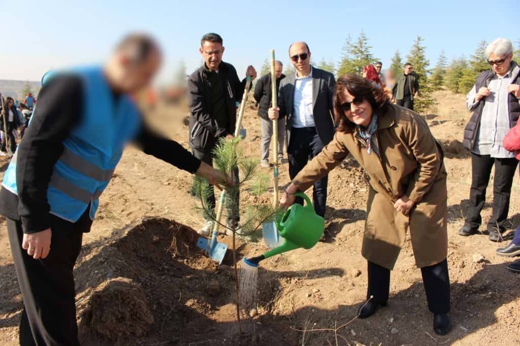 DENETİMLİ SERBESTLİK VE YÜKÜMLÜLERİ, 11 KASIM MİLLİ AĞAÇLANDIRMA GÜNÜ DOLAYISIYLA ATATÜRK ORMAN...