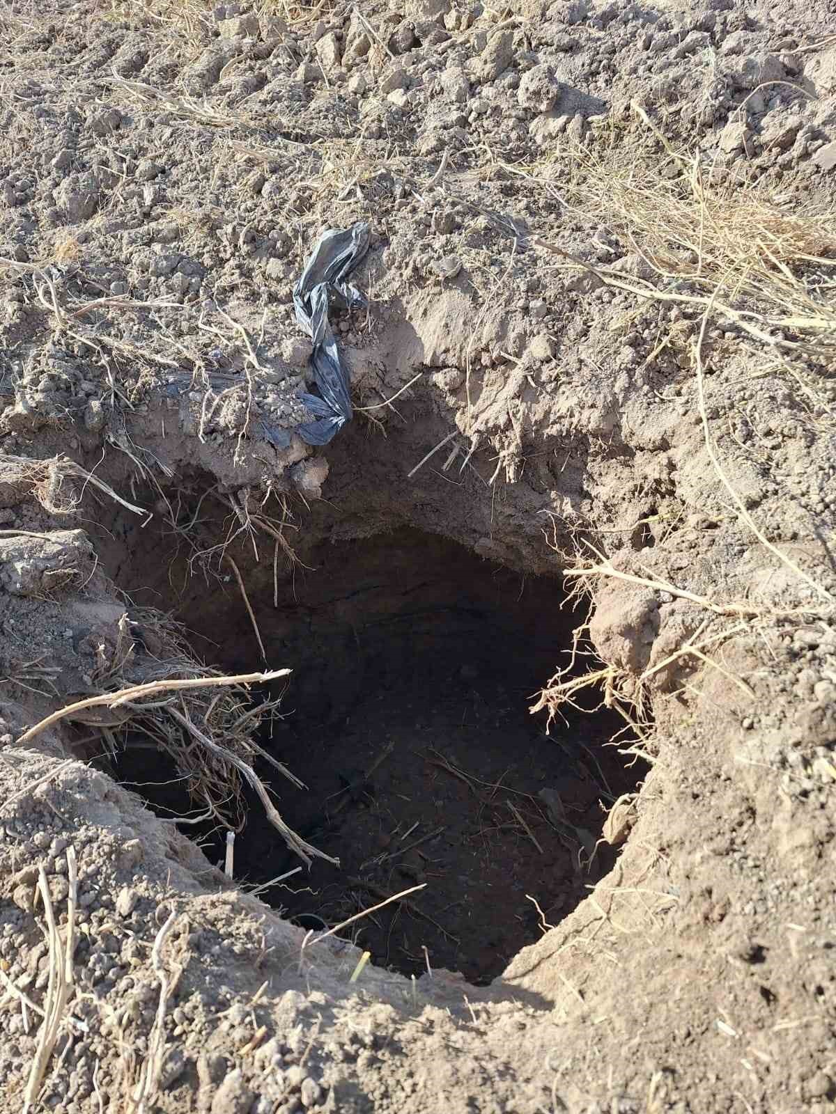 DENİZLİ’DE SULANABİLİR TARIM ARAZİLERİ BAKIMINDAN ÜLKENİN ÖNDE GELEN TARIM MERKEZLERİNDEN BİRİ...