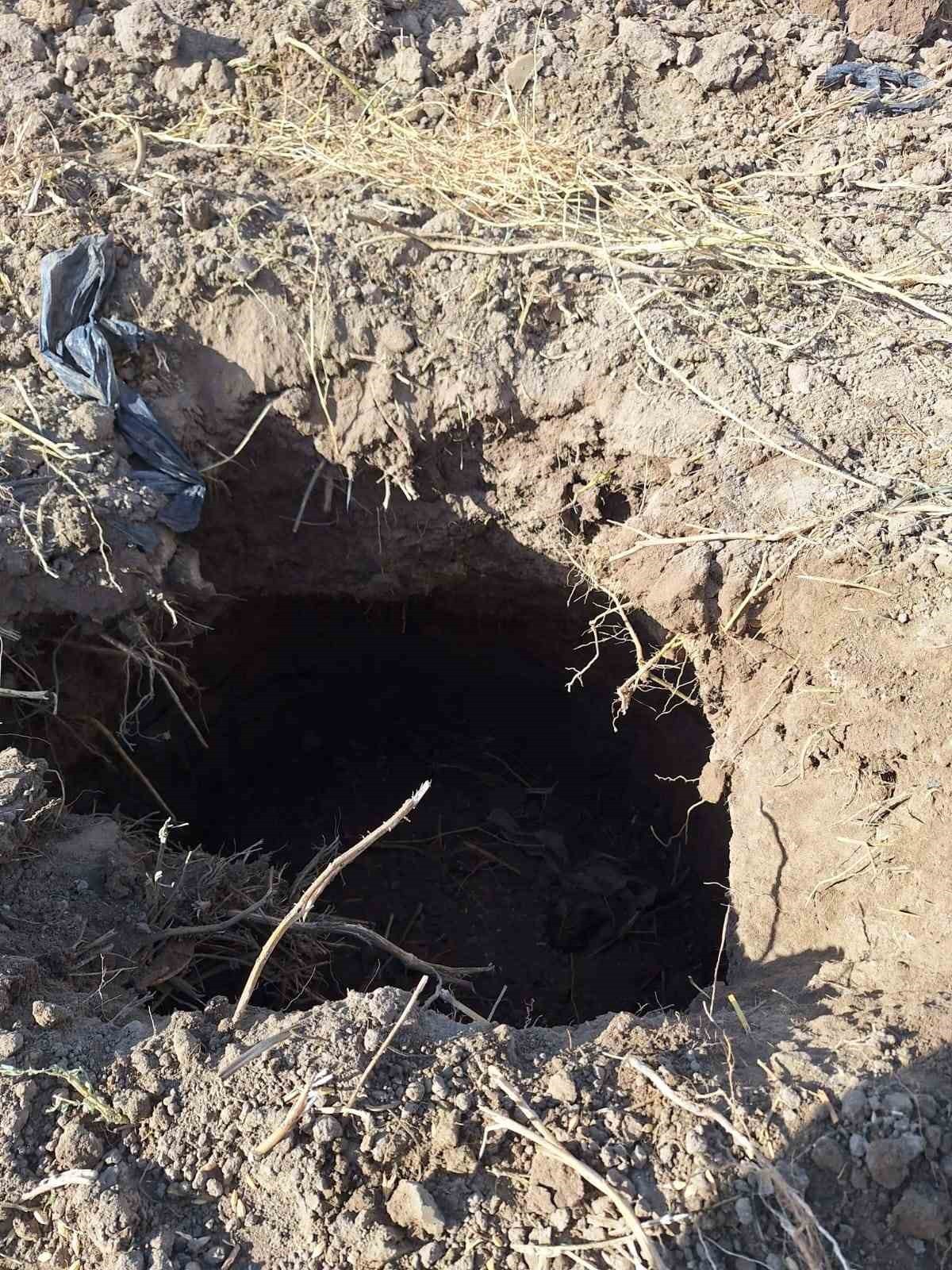 DENİZLİ’DE SULANABİLİR TARIM ARAZİLERİ BAKIMINDAN ÜLKENİN ÖNDE GELEN TARIM MERKEZLERİNDEN BİRİ...