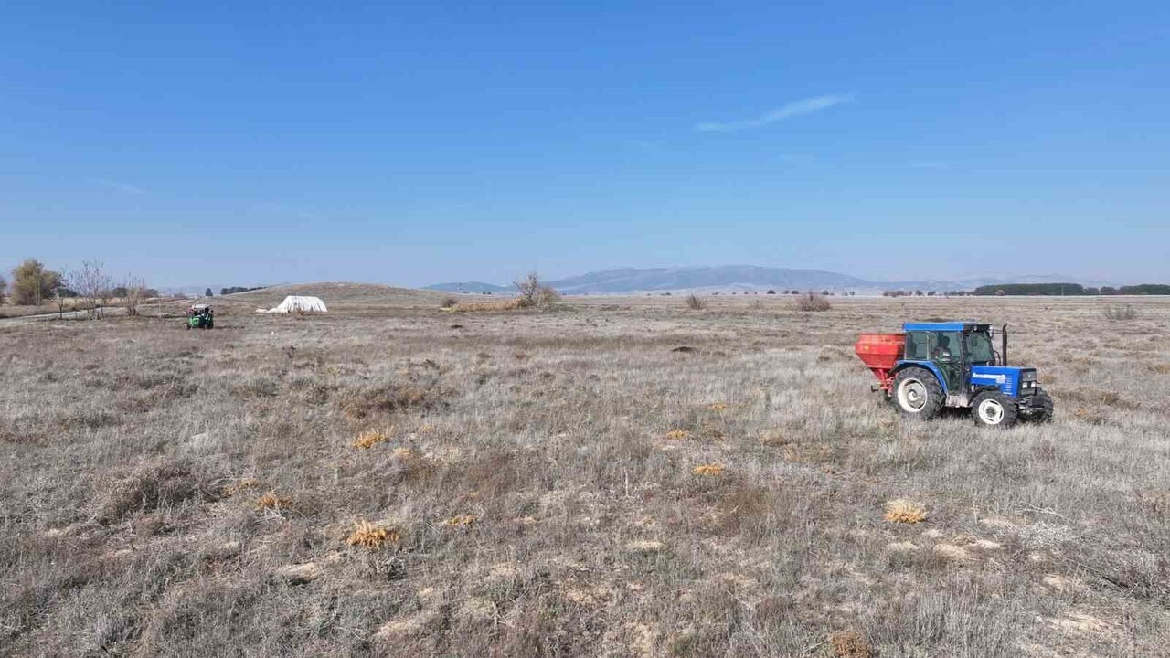 DENİZLİ İL TARIM VE ORMAN MÜDÜRLÜĞÜ, HAYVANCILIĞIN EN ÖNEMLİ GİRDİSİ OLAN KALİTELİ KABA YEM...