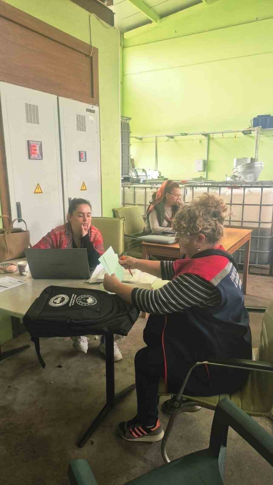 DİDİM İLÇE TARIM VE ORMAN MÜDÜRLÜĞÜ, ORGANİK ZEYTİN VE ZEYTİNYAĞI ÜRETİM ALANLARINDA KAPSAMLI...