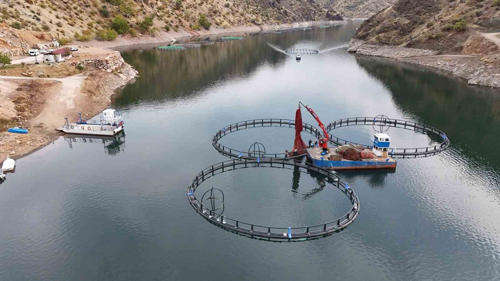 DİYARBAKIR'IN ÇÜNGÜŞ İLÇESİNDE ATATÜRK BARAJI HAVZASINDA KURULAN 500 TON KAPASİTELİ BALIK ÜRETİM...