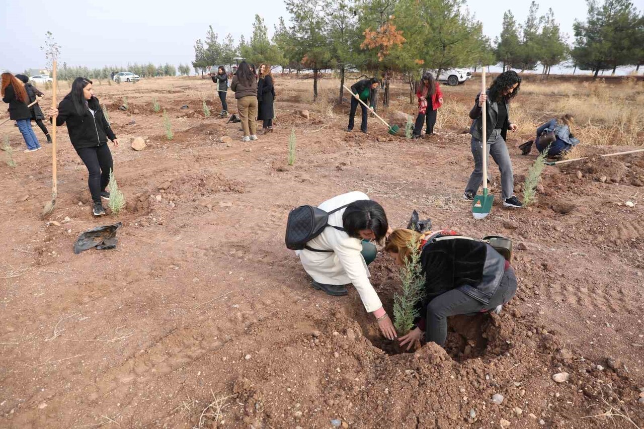 DİYARBAKIR BÜYÜKŞEHİR BELEDİYESİ, 25 KASIM KADINA YÖNELİK ŞİDDETE KARŞI ULUSLARARASI MÜCADELE GÜNÜ...