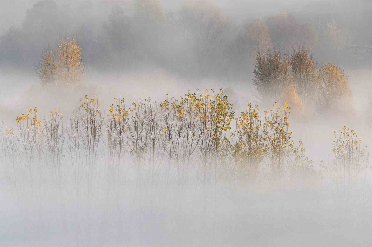 DİYARBAKIR’DA UNESCO DÜNYA KÜLTÜR MİRASI LİSTESİNDE BULUNAN TARİHİ HEVSEL BAHÇELERİNDE OLUŞAN SİS...