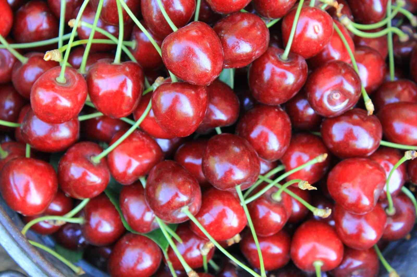 DONDURULMUŞ GIDA DERNEĞİ YÖNETİM KURULU ÜYESİ BÜLENT YILDIRIM, "DONDURULMUŞ KİRAZDA DA İLK...